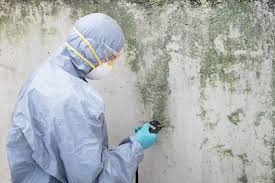 Why You Should Choose Our Mold Remediation Services in Lawrence, NY